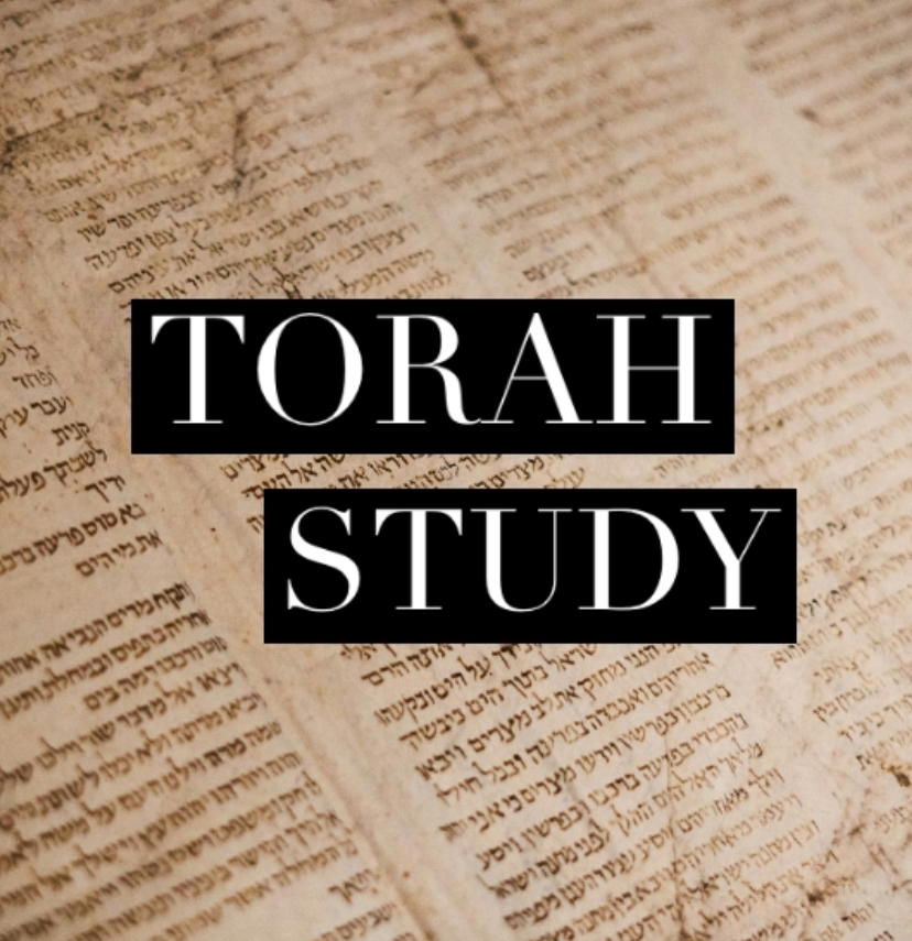 CNT-TorahStudyImage1